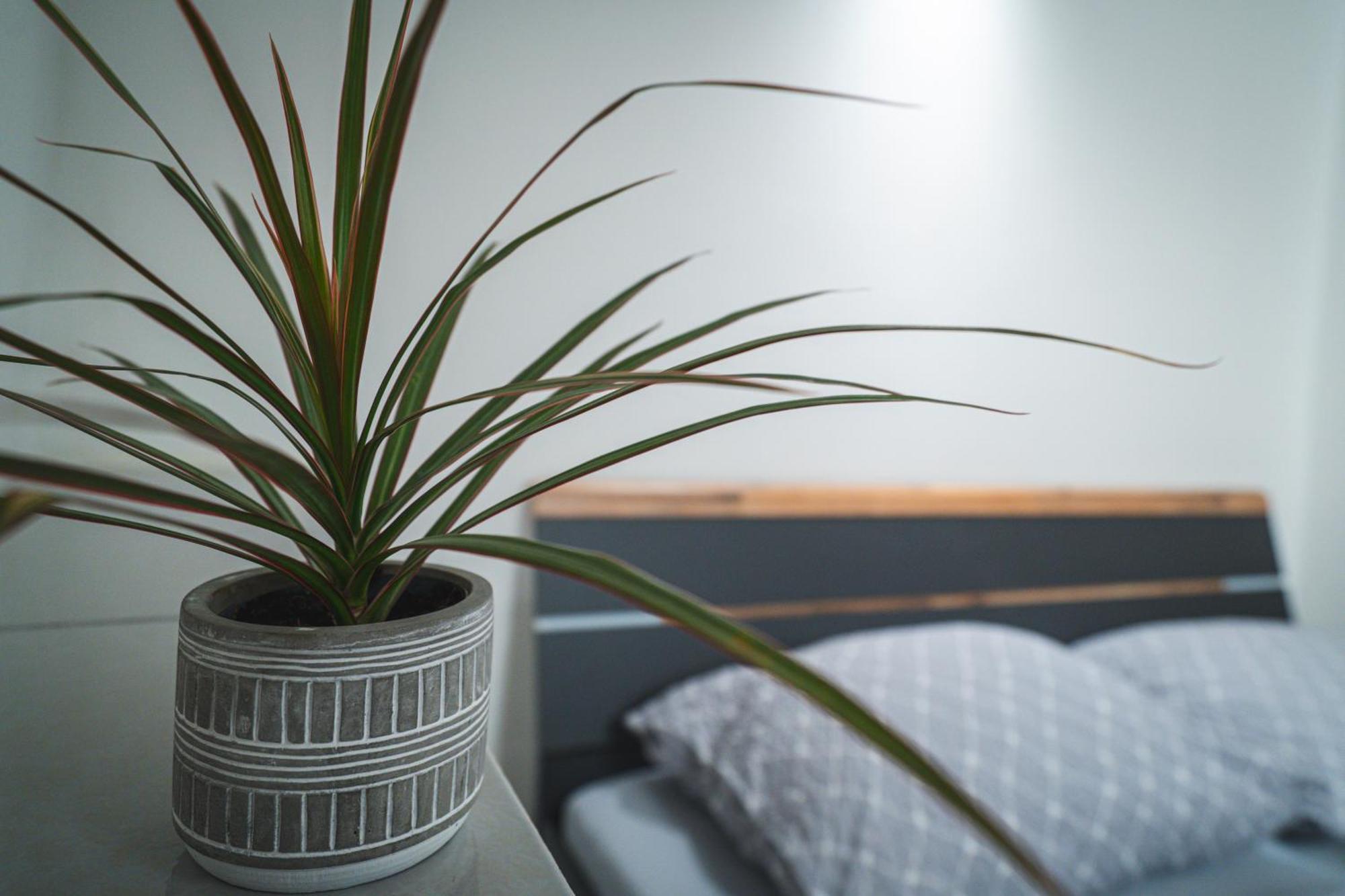 Apartmany V Podzamci Náchod エクステリア 写真